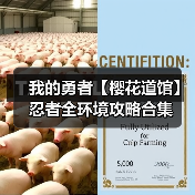 我的勇者【樱花道馆】忍者全环境攻略合集（图2）