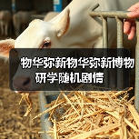 物华弥新物华弥新博物研学随机剧情（图4）