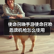 使命召唤手游使命召唤盾牌机枪怎么使用（图4）