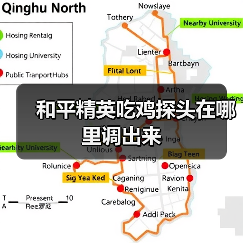 和平精英吃鸡探头在哪里调出来（图4）
