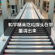 和平精英吃鸡探头在哪里调出来（图2）