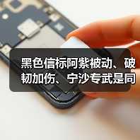 黑色信标阿紫被动、破韧加伤、宁沙专武是同乘区！（图1）