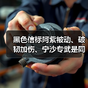 黑色信标阿紫被动、破韧加伤、宁沙专武是同乘区！（图4）