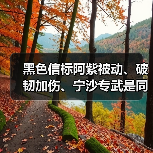 黑色信标阿紫被动、破韧加伤、宁沙专武是同乘区！（图3）