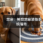 龙息：神寂龙息装备系统指南（图1）