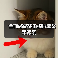 全面憨憨战争模拟器义军派系（图3）