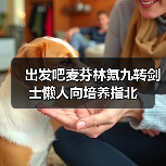 出发吧麦芬林氪九转剑士懒人向培养指北（图1）
