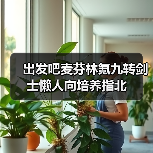 出发吧麦芬林氪九转剑士懒人向培养指北（图4）