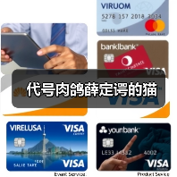 代号肉鸽薛定谔的猫（图1）