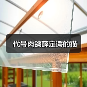 代号肉鸽薛定谔的猫（图3）