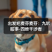 出发吧麦芬麦芬：九转服事-四维干涉者（图3）