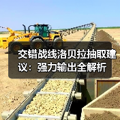 交错战线洛贝拉抽取建议：强力输出全解析（图4）
