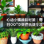 心动小镇最新时装｜每日OOTD穿搭挑战全攻略（图2）