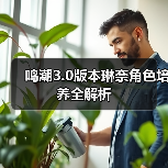 鸣潮3.0版本琳奈角色培养全解析（图3）