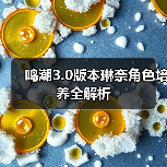 鸣潮3.0版本琳奈角色培养全解析（图2）