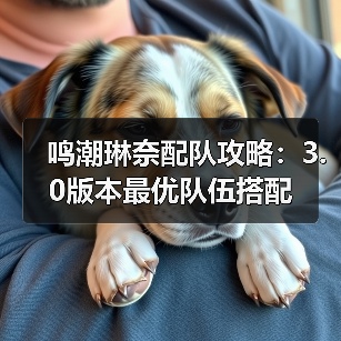 鸣潮琳奈配队攻略：3.0版本最优队伍搭配（图3）