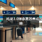 鸣潮3.0琳奈高效养成攻略（图4）