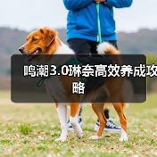 鸣潮3.0琳奈高效养成攻略（图1）