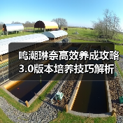 鸣潮琳奈高效养成攻略 3.0版本培养技巧解析（图3）