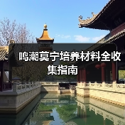 鸣潮莫宁培养材料全收集指南（图2）