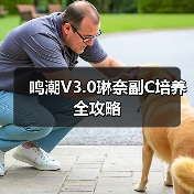 鸣潮V3.0琳奈副C培养全攻略（图4）