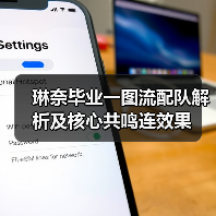 琳奈毕业一图流配队解析及核心共鸣连效果（图3）