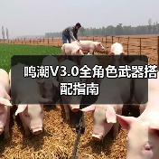 鸣潮V3.0全角色武器搭配指南（图4）