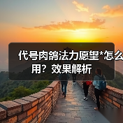 代号肉鸽法力愿望*怎么用？效果解析（图1）