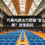 代号肉鸽法力愿望*怎么用？效果解析（图2）