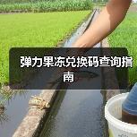 弹力果冻兑换码查询指南（图4）