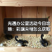 光遇办公室活动今日攻略:彩旗尖帽怎么获取?(图2) 光遇办公室活动今日攻略:彩旗尖帽怎么获取?(图2)