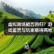 虚拟赌场能否回归？游戏监管与玩家期待两难（图4）
