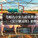 马斯克小女儿起名灵感：《艾尔登法环》的彗星亚兹勒！（图2）