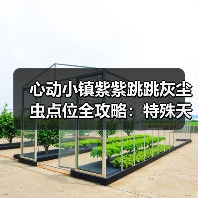 心动小镇紫紫跳跳灰尘虫点位全攻略：特殊天气捕捉技巧（图3）
