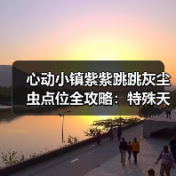 心动小镇紫紫跳跳灰尘虫点位全攻略：特殊天气捕捉技巧（图4）