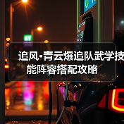 追风·青云爆追队武学技能阵容搭配攻略