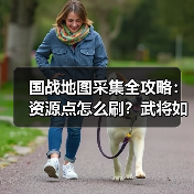 国战地图采集全攻略:资源点怎么刷?武将如何高效采集?(图4) 国战地图采集全攻略:资源点怎么刷?武将如何高效采集?(图4)