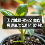 国战地图采集全攻略:资源点怎么刷?武将如何高效采集?(图3) 国战地图采集全攻略:资源点怎么刷?武将如何高效采集?(图3)