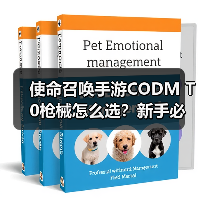 使命召唤手游CODM T0枪械怎么选？新手必看的顶级武器推荐（图4）