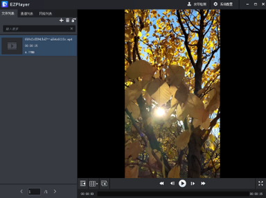 EZPlayer