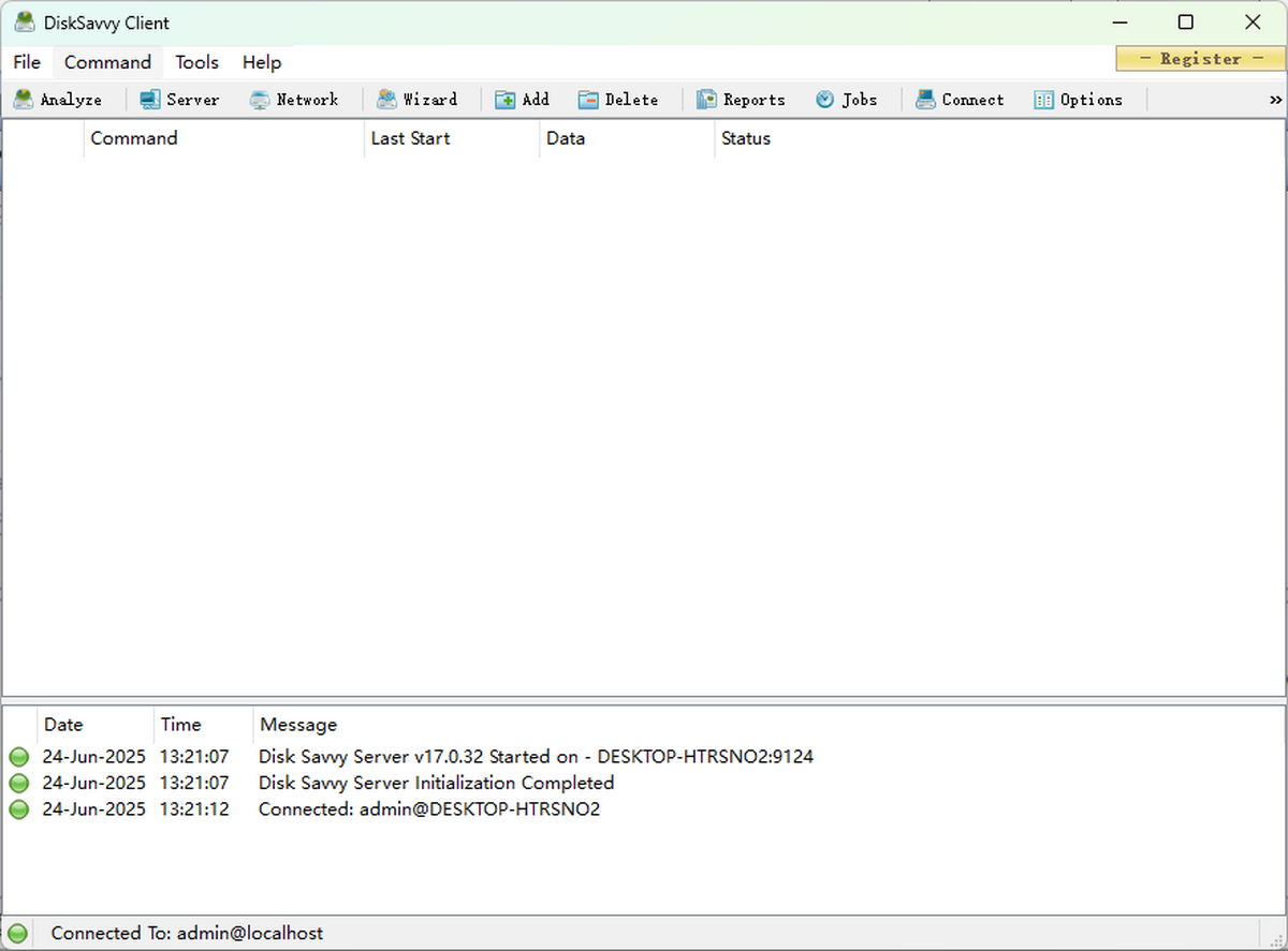 Disk Savvy Server