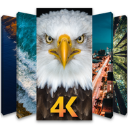 手机4K壁纸app v1.0.6安卓版
